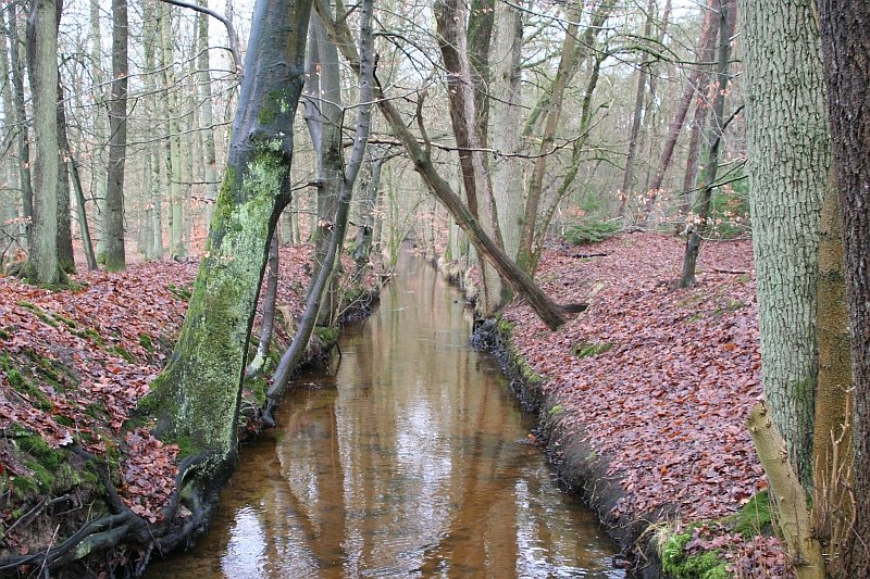  Hierdense beek