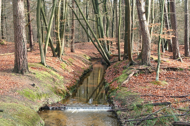   Hierdense beek